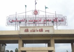 مصر للزيوت 