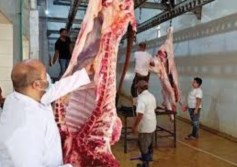 الإدارة العامة للمجازر 