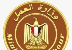 وزارة العمل 