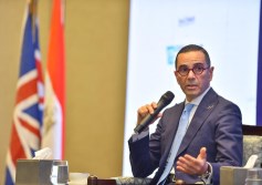 وزير الاستثمار