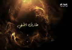 طارق لطفي