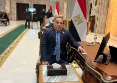 النائب هاني شحاتة