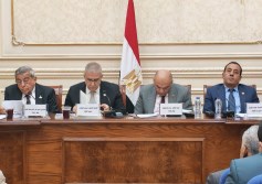 مجلس الشيوخ