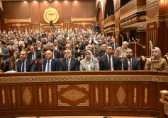 مجلس الشيوخ