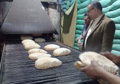 محافظة الدقهلية