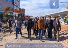 محافظ الاسكندرية