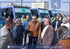محافظة الاسكندرية 
