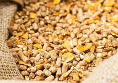 الأعلاف أرشيفية 