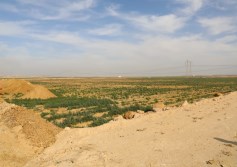 جولة وزير الزراعة اليوم 