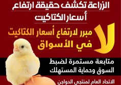 الكتاكيت ارشيفية