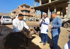 وزارة الزراعة ارشيفيه 