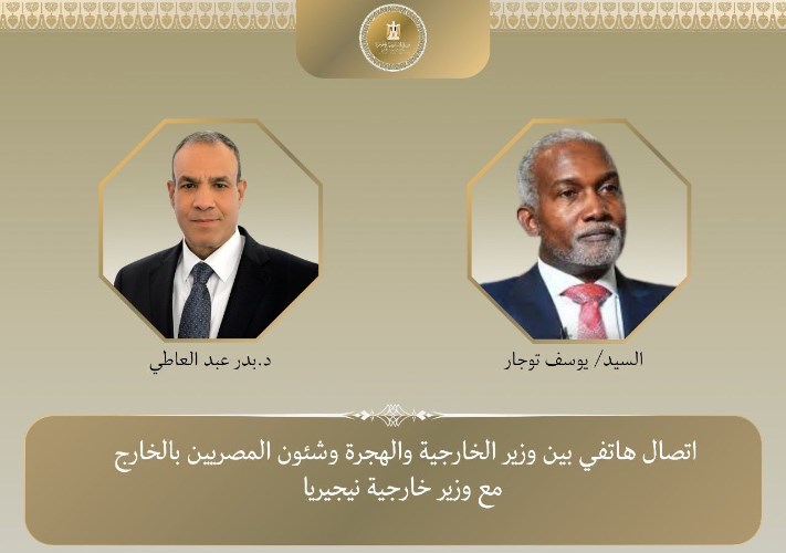 وزيرا خارجية مصر ونيجيريا