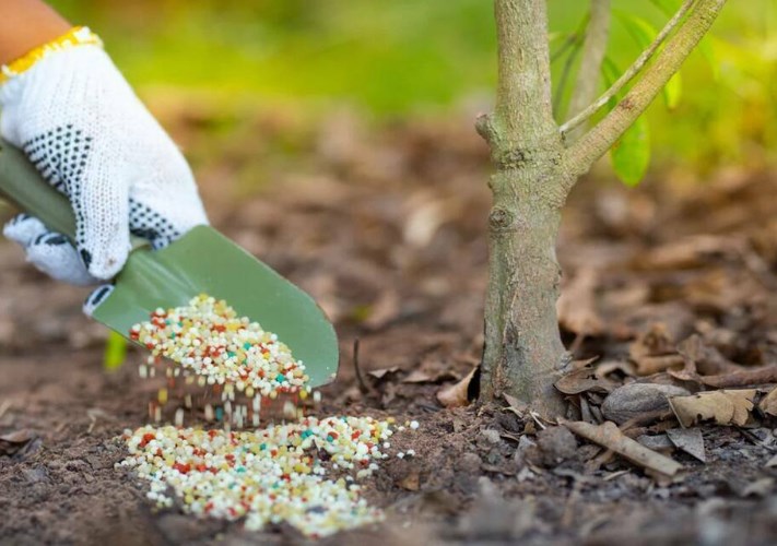 شركة الدولية للأسمدة والكيماويات