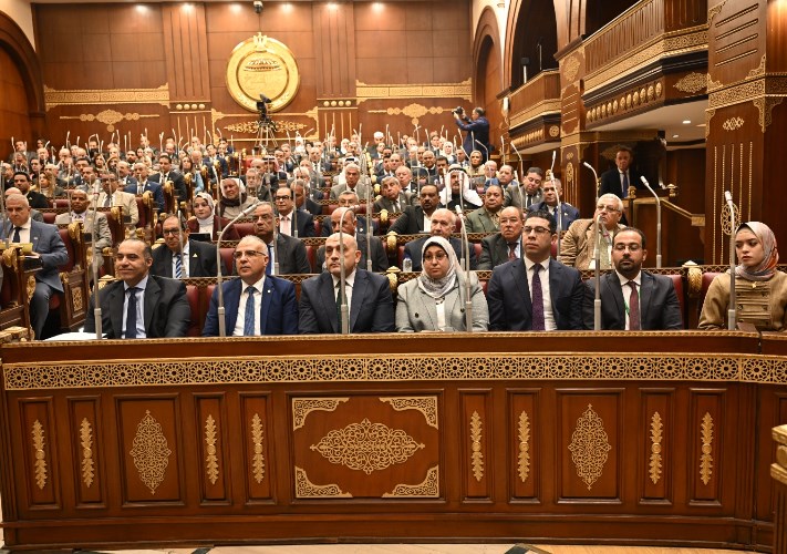 مجلس الشيوخ