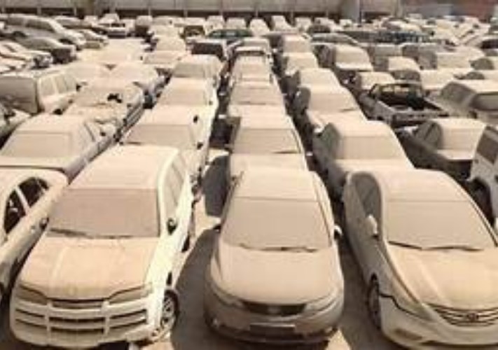مصلحة الجمارك 