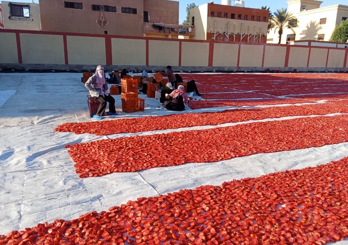 وزارة الزراعة ارشيفيه 