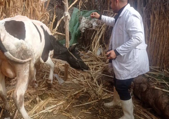 وزارة الزراعة 
