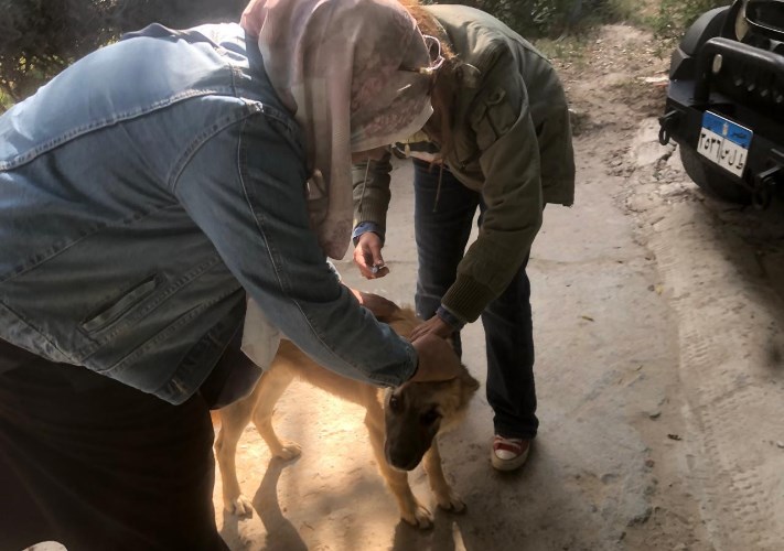 مبادرة مصر خالية من السعار