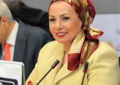 چرمين عامر