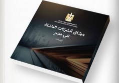 ميثاق الشركات الناشئة