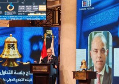 محمد فريد 