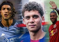 الاحتراف الخارجي