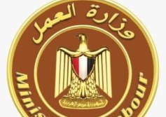 وزارة العمل 