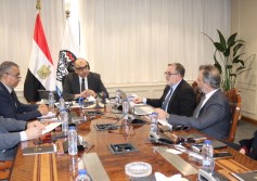 وزير قطاع الأعمال 
