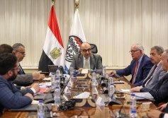 وزير قطاع الأعمال