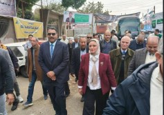 المصرية لنقل الكهرباء