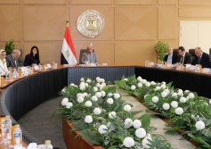 المصرية لنقل الكهرباء
