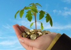  تأمين المشروعات الصغيرة