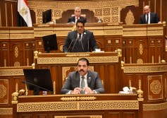 مجلس الشيوخ
