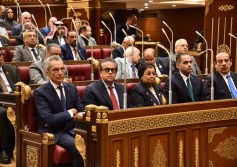 مجلس الشيوخ
