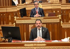 مجلس الشيوخ