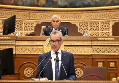 وزير المجالس النيابية المستشار هاني حنا