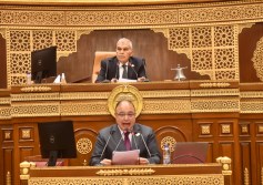 مجلس الشيوخ