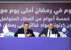 المصرية للاتصالات 
