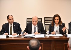 الطيران
