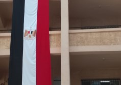 تعليم الإسكندرية 