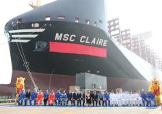 شركة msc