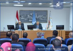 محافظة الاسكندرية 