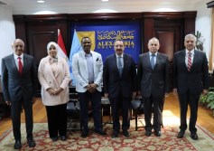 مكتبة الإسكندرية 