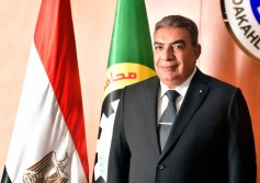 محافظة الدقهلية 