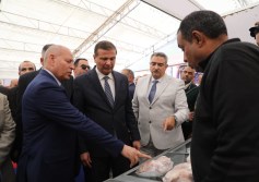 معرض التمور