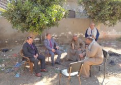 وزارة الزراعة ارشيفيه 