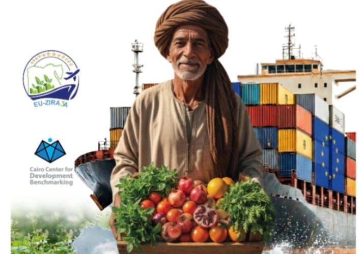 تصدير الخضروات 