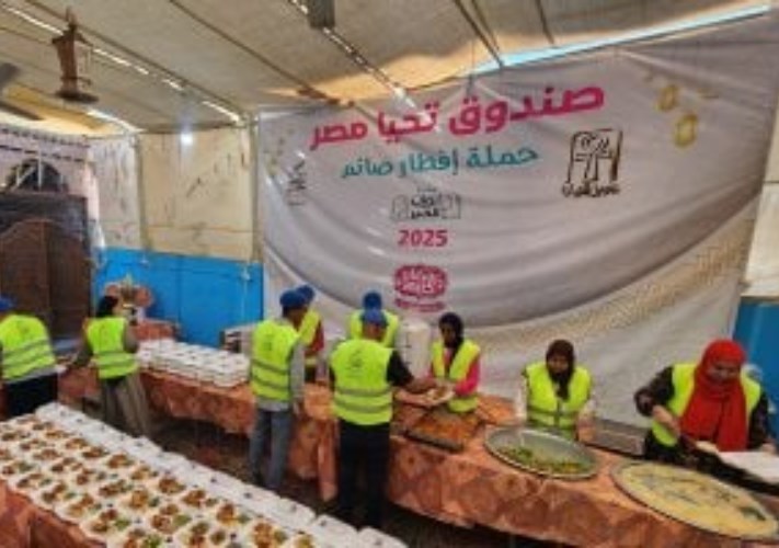 صندوق تحيا مصر