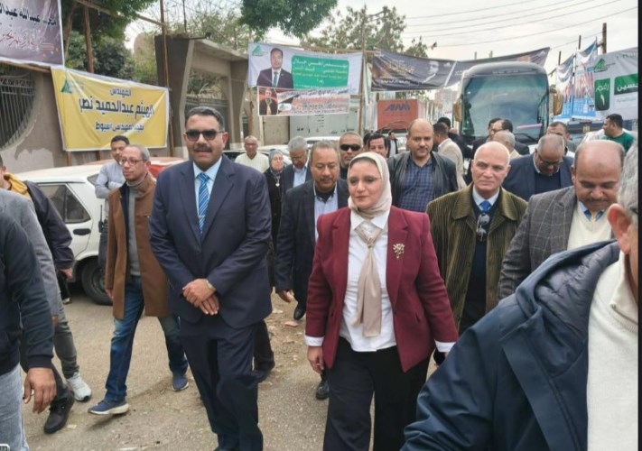 المصرية لنقل الكهرباء