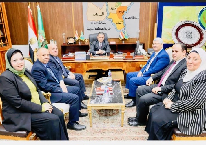 جنوب الدلتا للكهرباء
